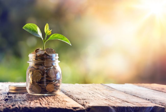 Plant,Growing,In,Savings,Coins,-,Investment,And,Interest,Concept